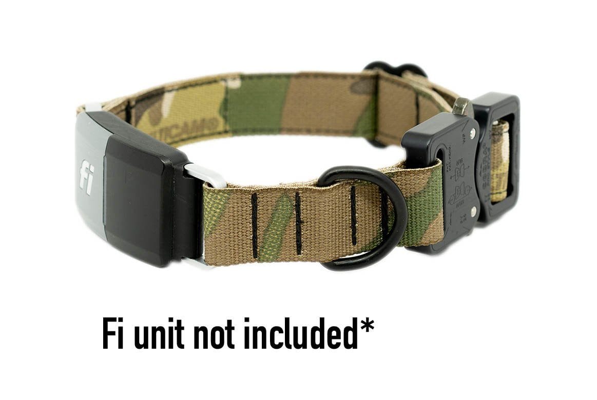 fi dog collar