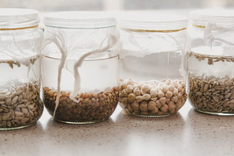 4 jars of seeds with water inside