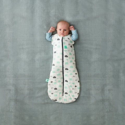 ergopouch swaddle 2.5 tog