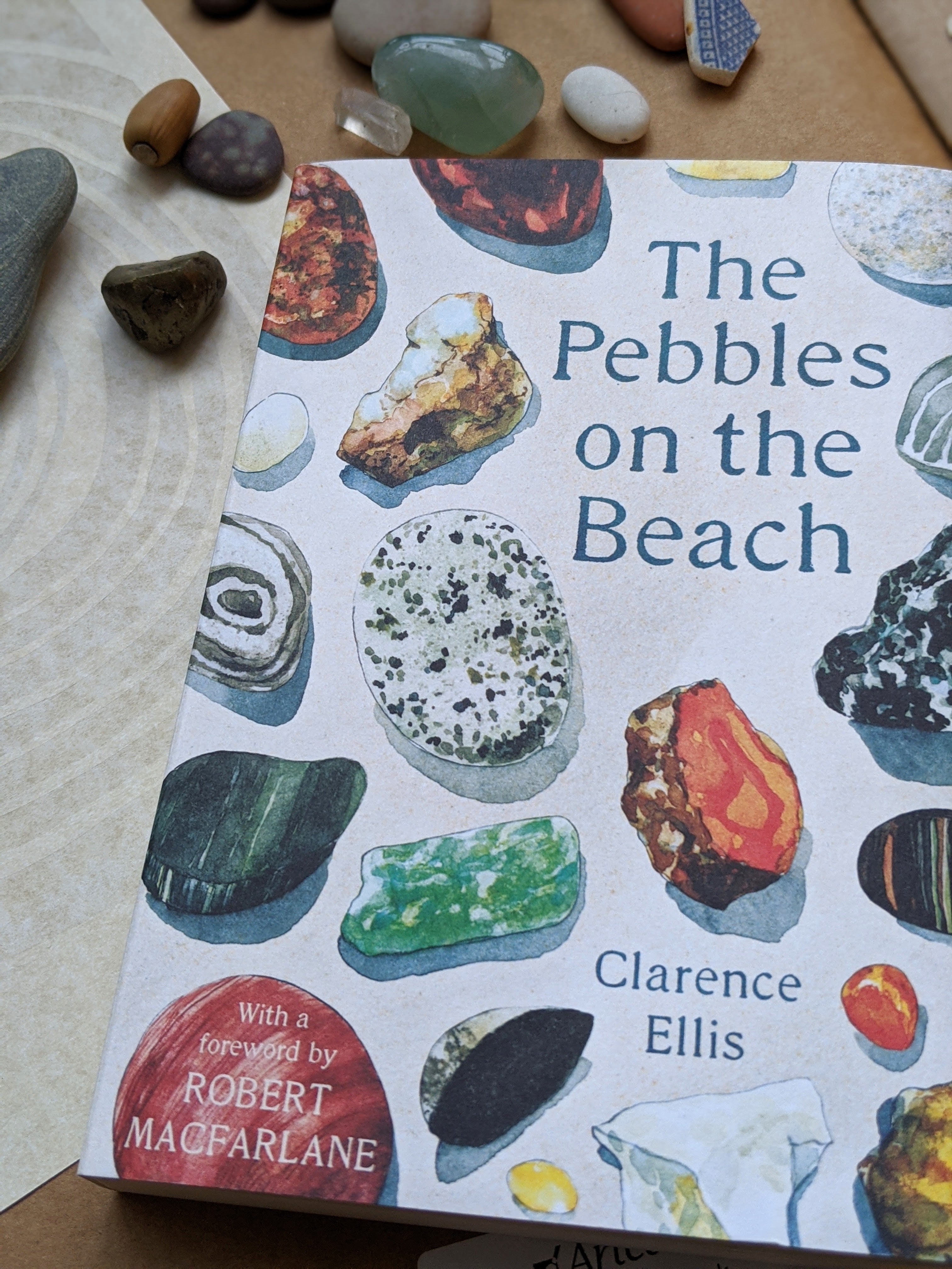 The Pebbles on the beach book by Clarence Ellis