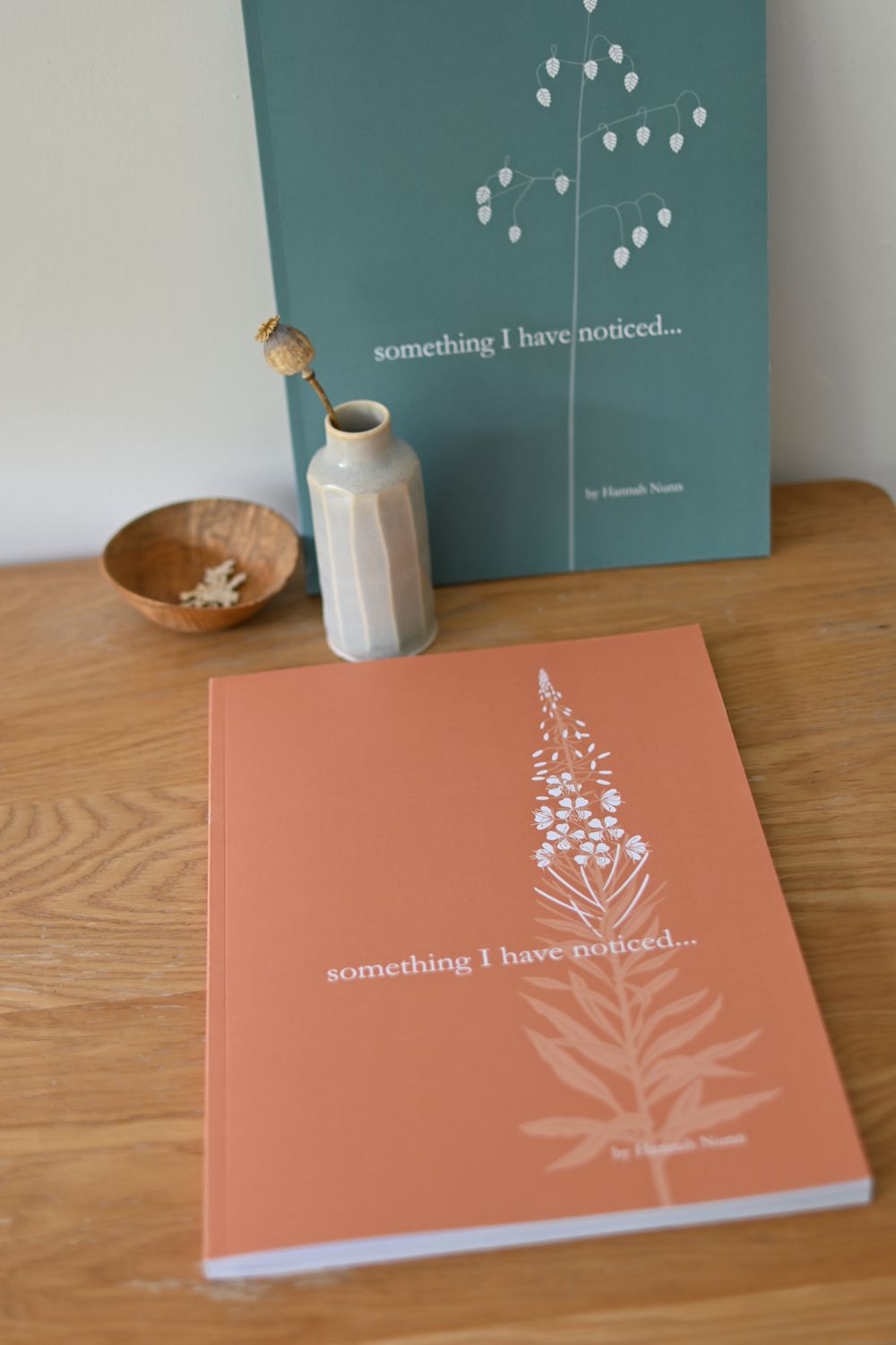 something I have noticed journal no.2 by Hannah Nunn