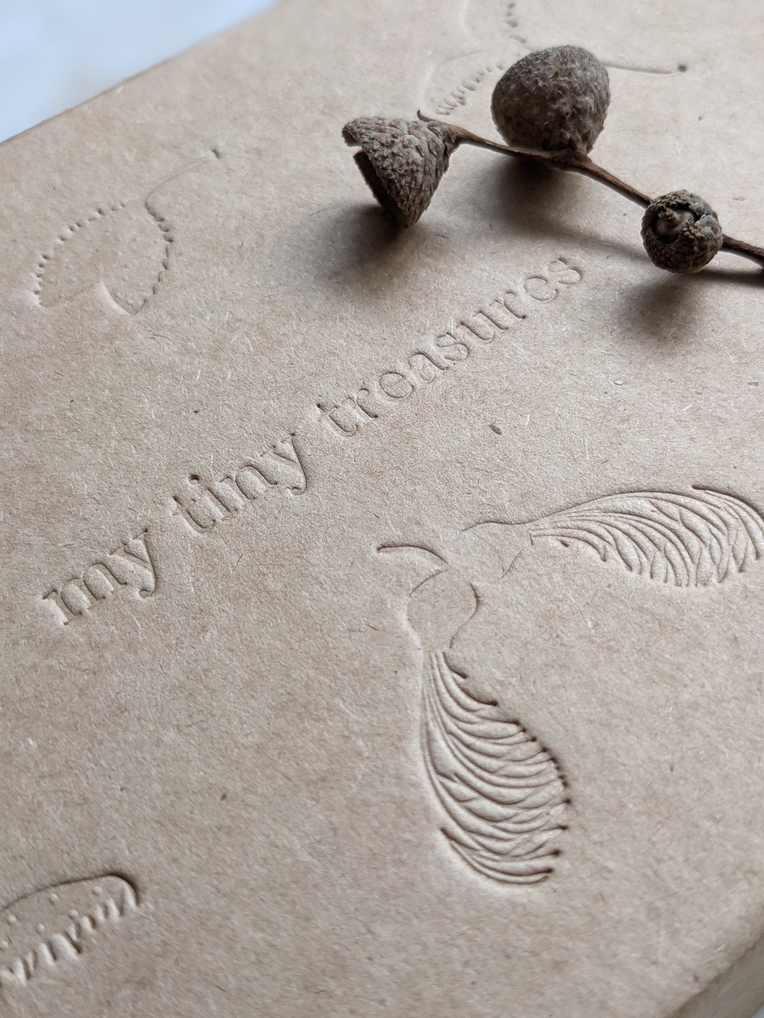 the embossed lid on a Tiny treasures box by Hannah Nunn