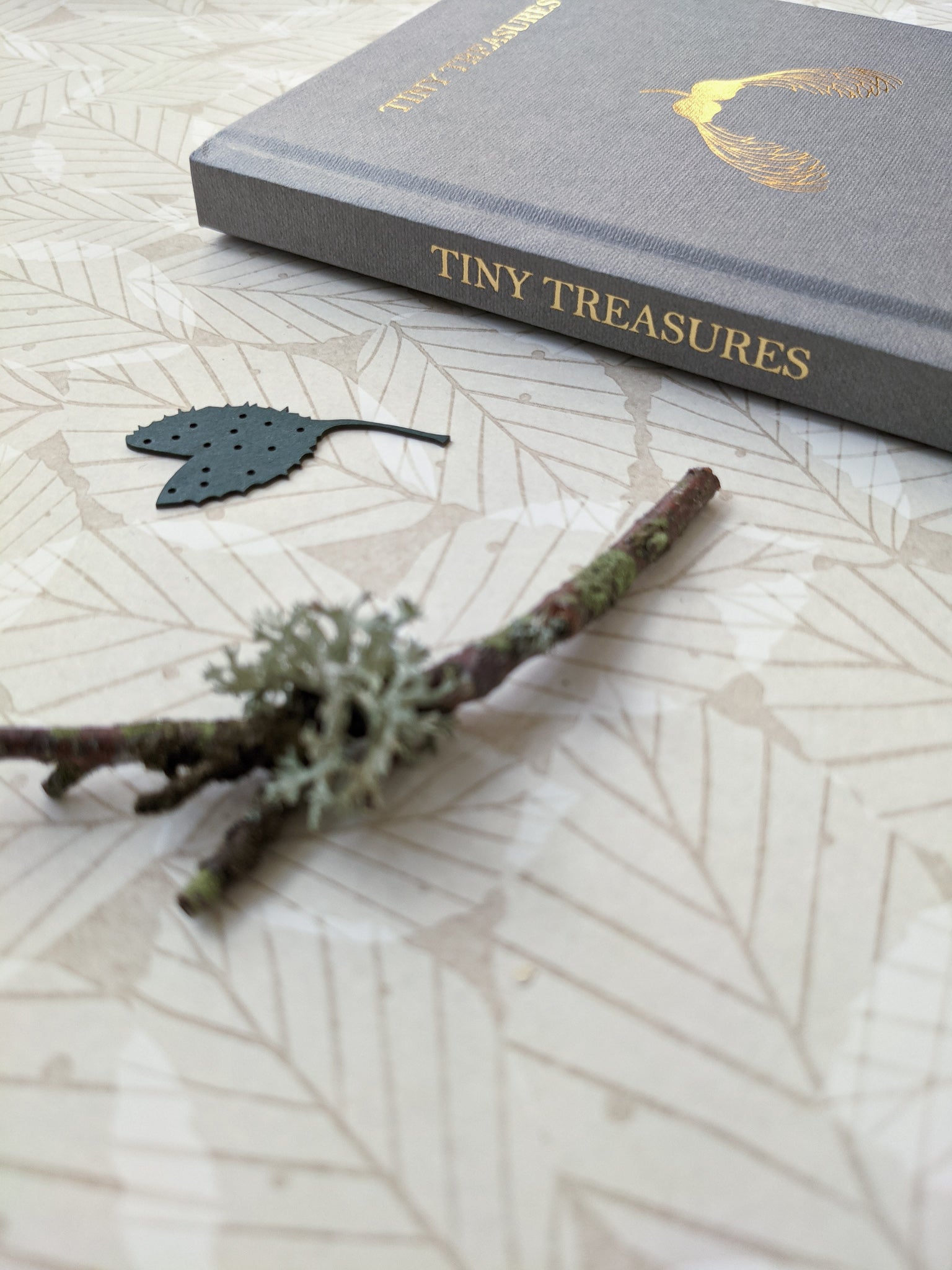 Tiny Treasures book and a twig covered in lichen