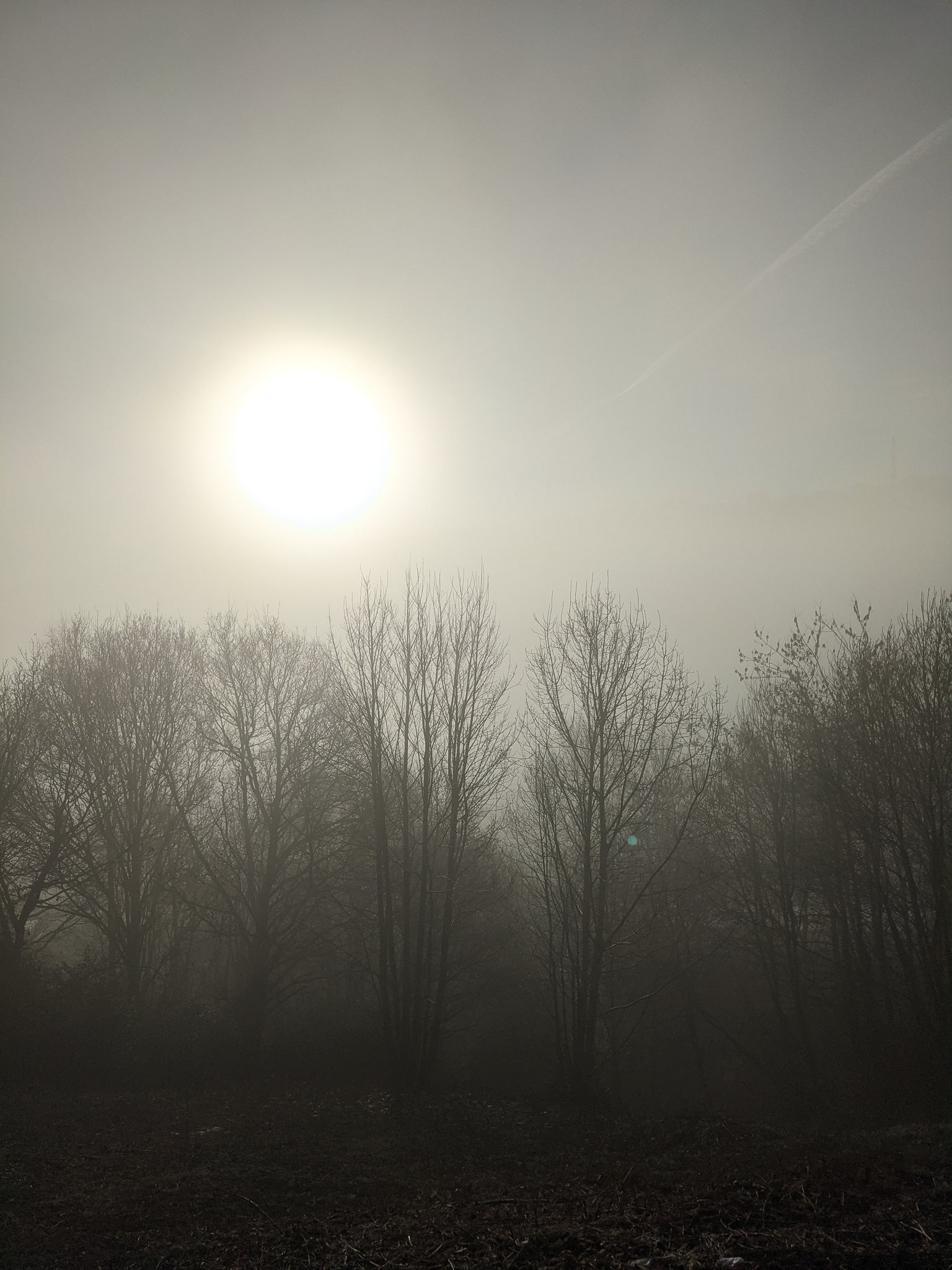 sun through the fog