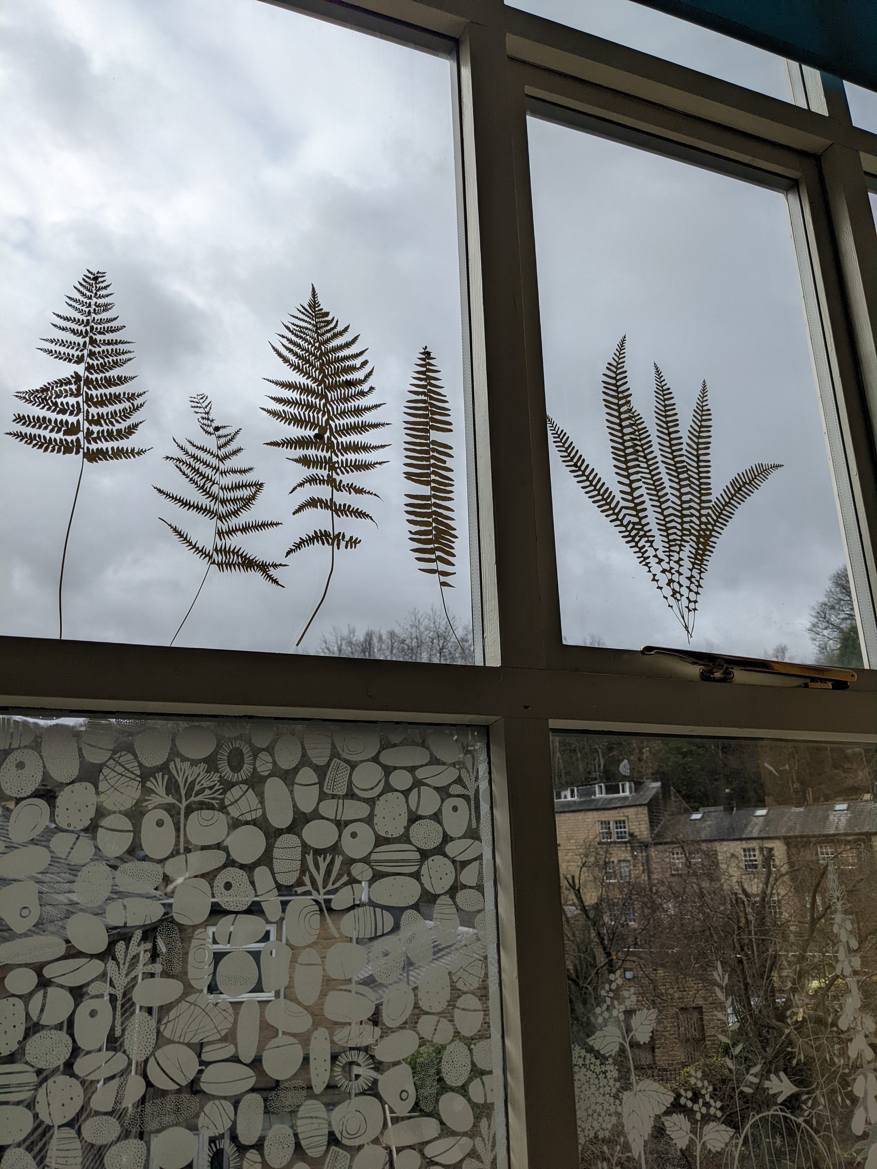 fern silhouettes