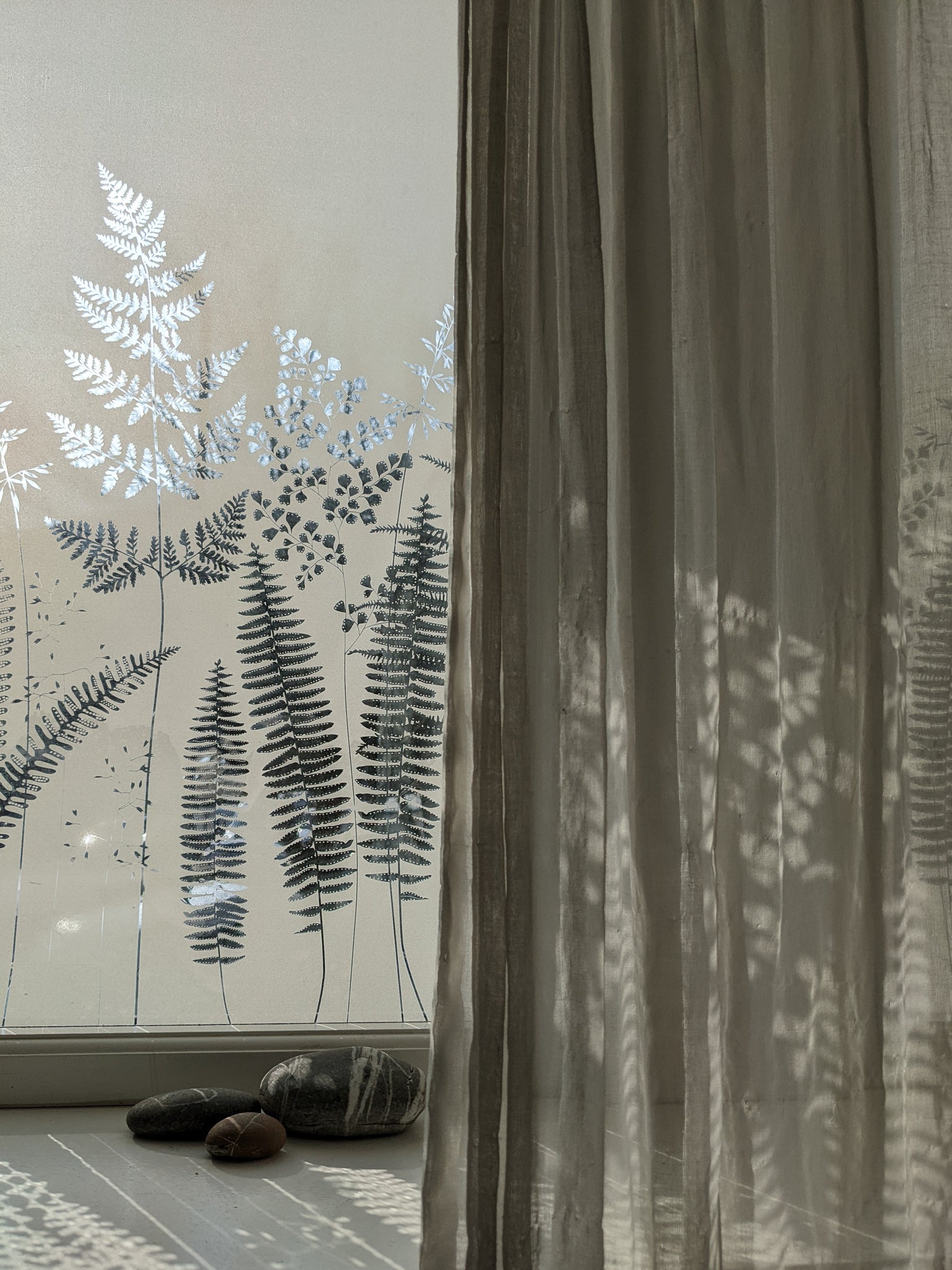 Fern window film by Hannah Nunn