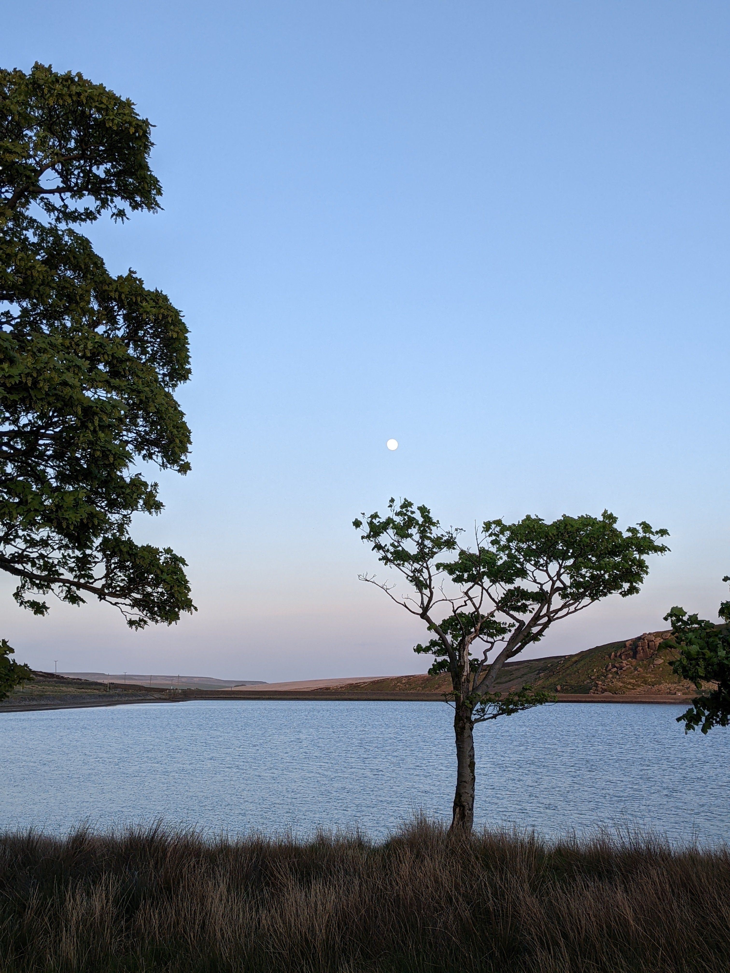 tree at Widdop reservoir on a full moon night