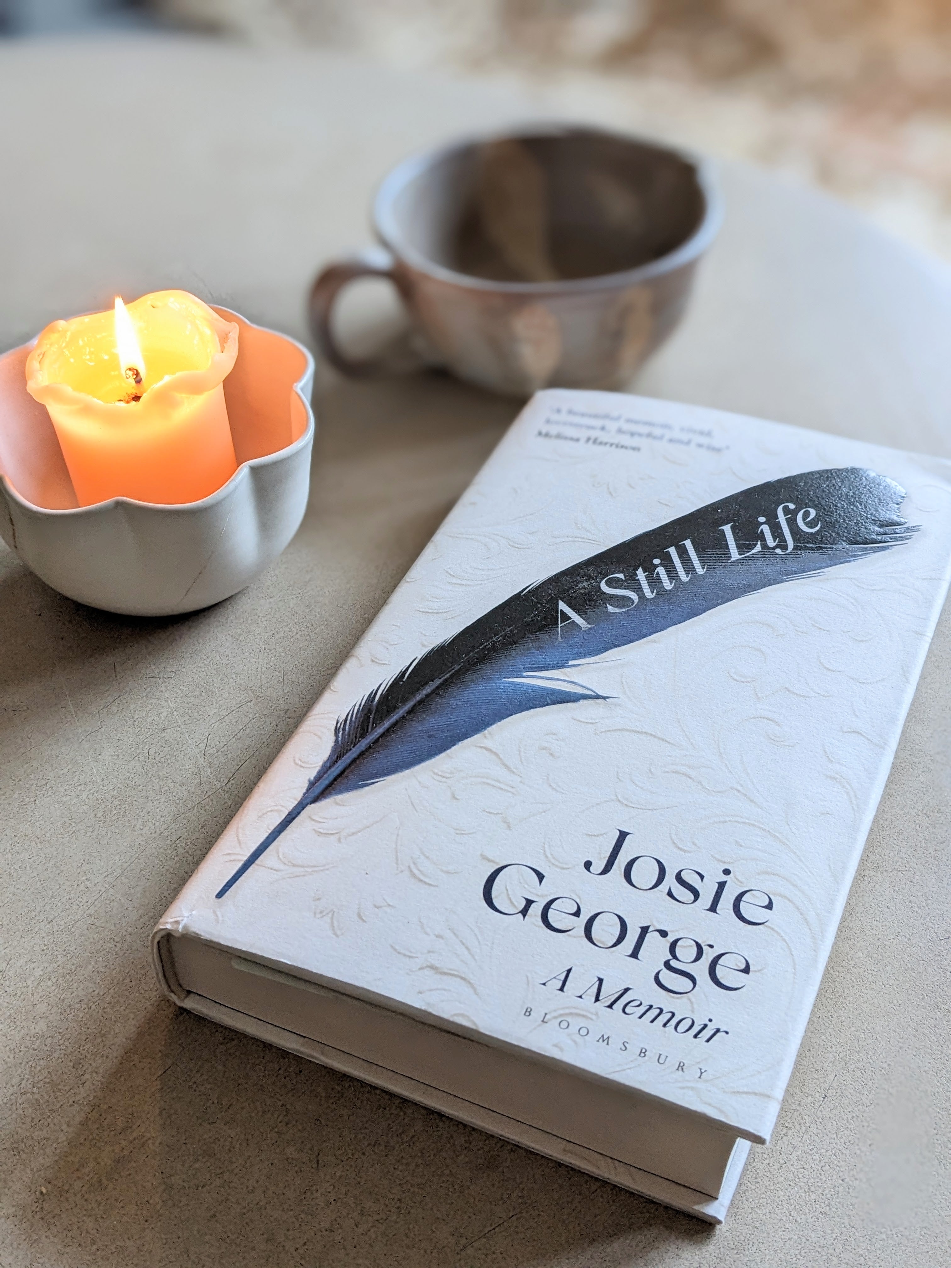 A Still Life - book by Josie George