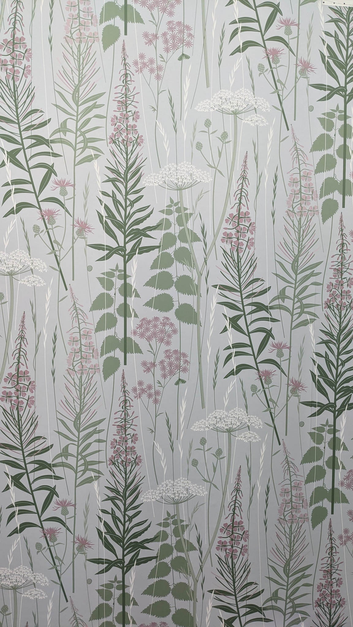 Wild Edge wallpaper in full bloom, pink andgreen colourway