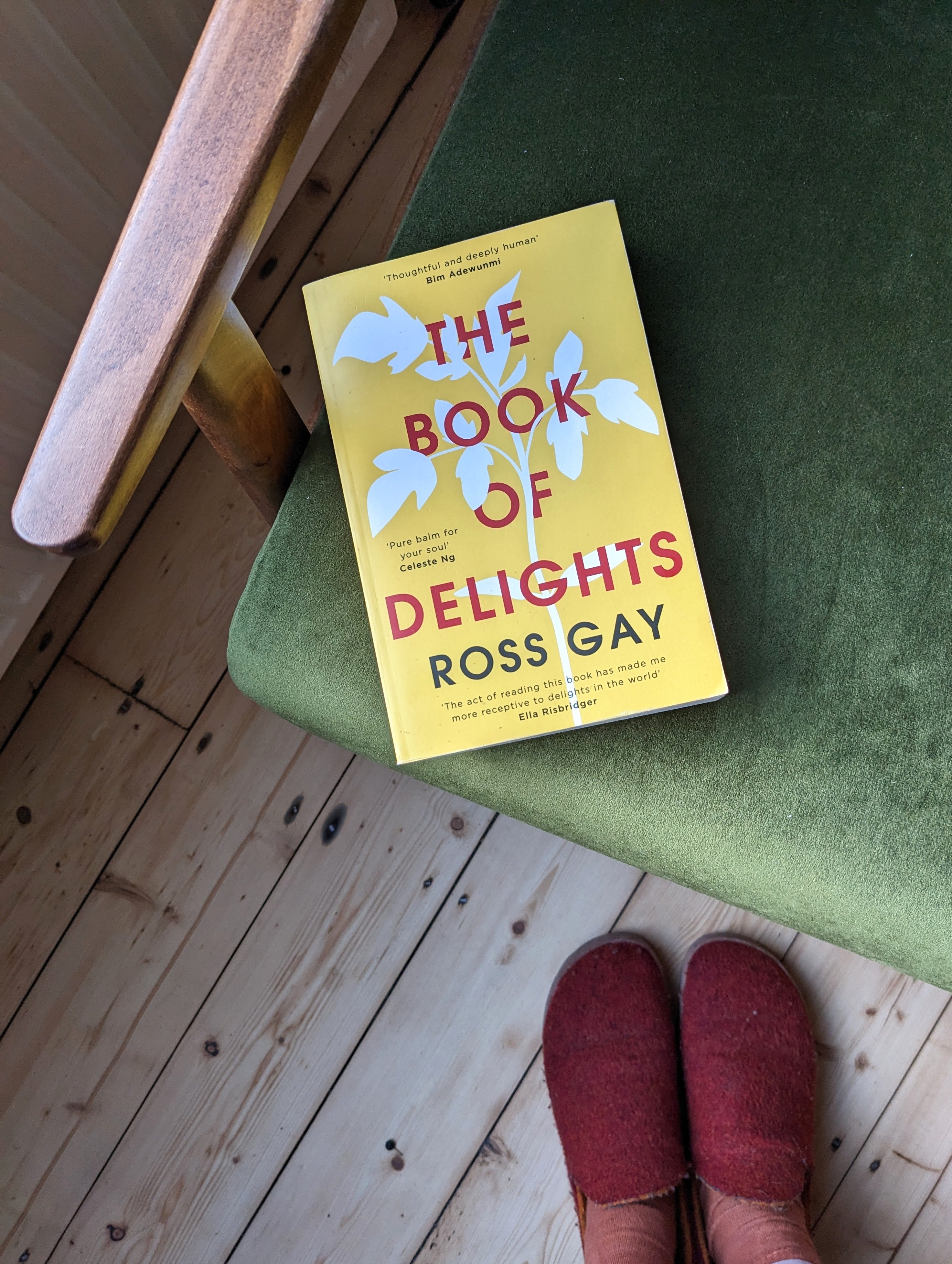 The Book of Delights by Ross Gay