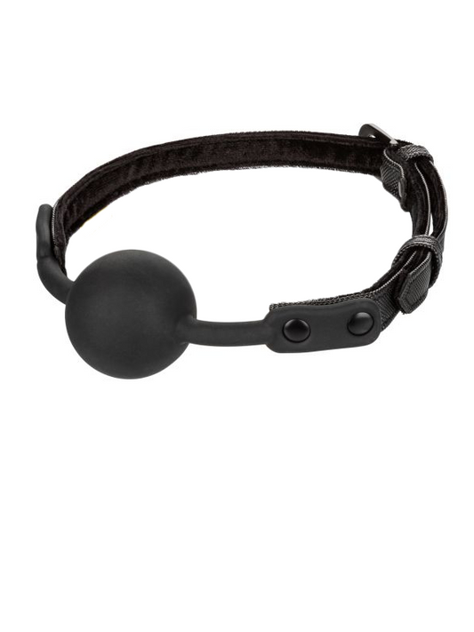 Punishment Silicone Ball Gag - Come As You Are