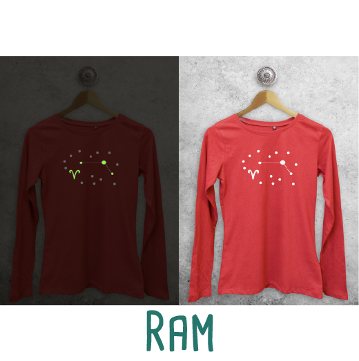 Sterrenbeeld glow in the dark volwassene shirt met lange mouwen