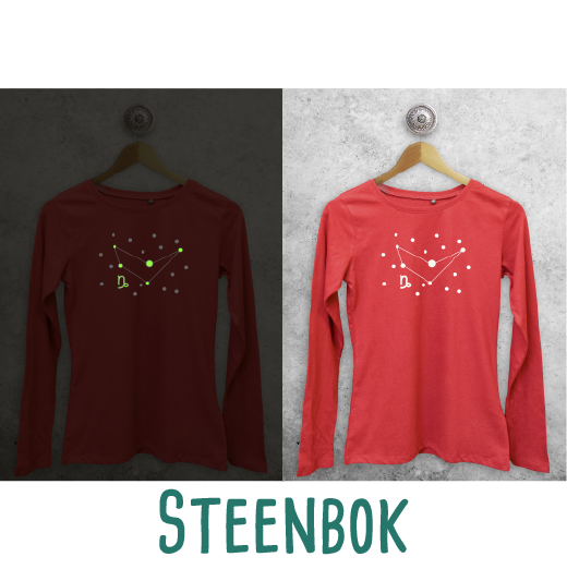 Sterrenbeeld glow in the dark volwassene shirt met lange mouwen