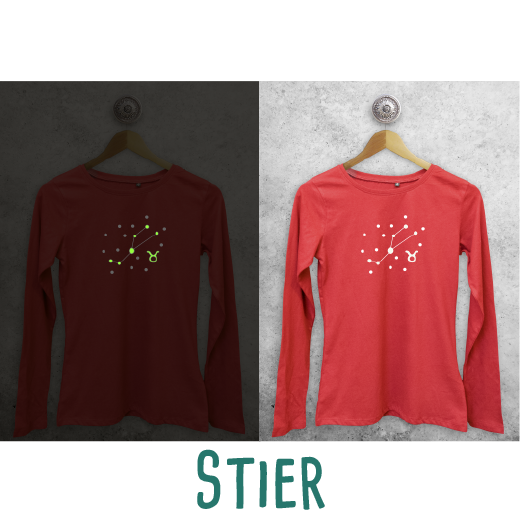 Sterrenbeeld glow in the dark volwassene shirt met lange mouwen