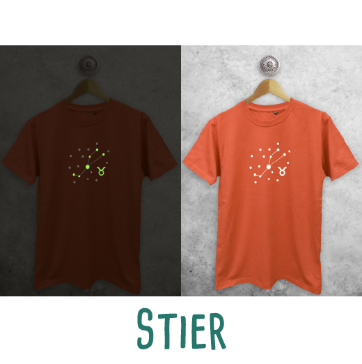 Sterrenbeeld glow in the dark volwassene shirt