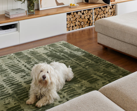 The Inside Scoop About Our Kid-Friendly, Pet-Ready Washable Rugs