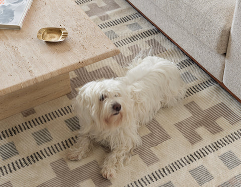 The Inside Scoop About Our Kid-Friendly, Pet-Ready Washable Rugs