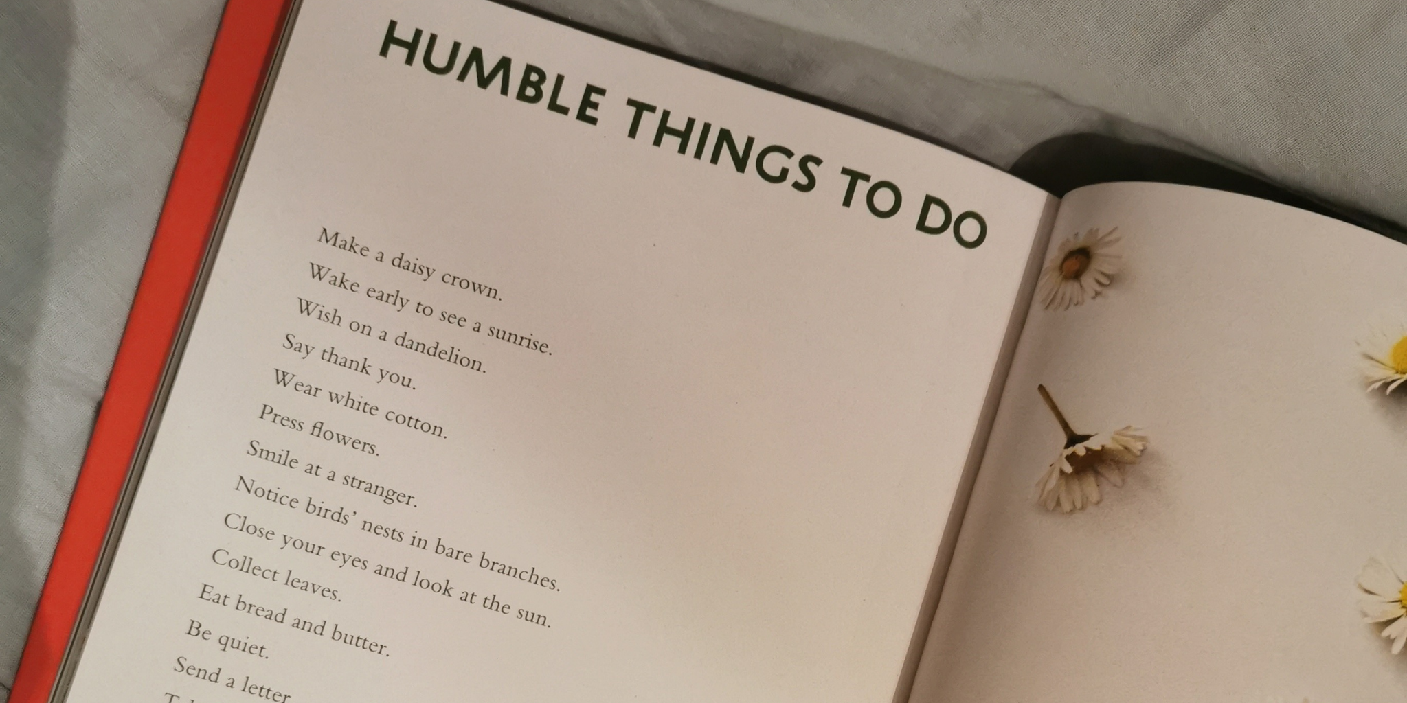 Humble Pleasures photo from Amy's Book