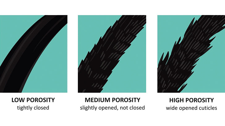 identify whether you have low, medium, or high porosity hair