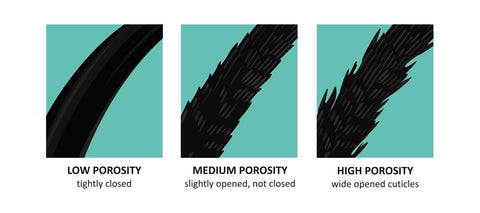 identify your hair porosity to find the best haircare products for your curls