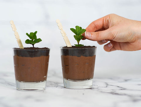 nature restore vegan chocolate chia pudding recipe