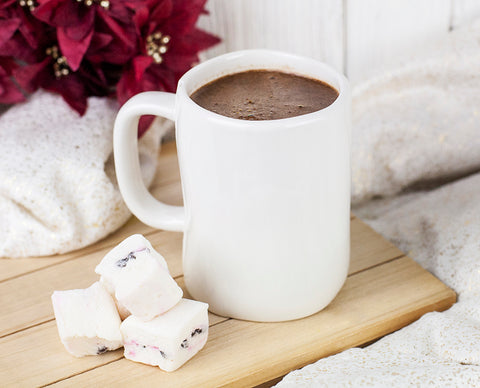 Nature Restore Reishi powder recipe- adaptogenic hot chocolate