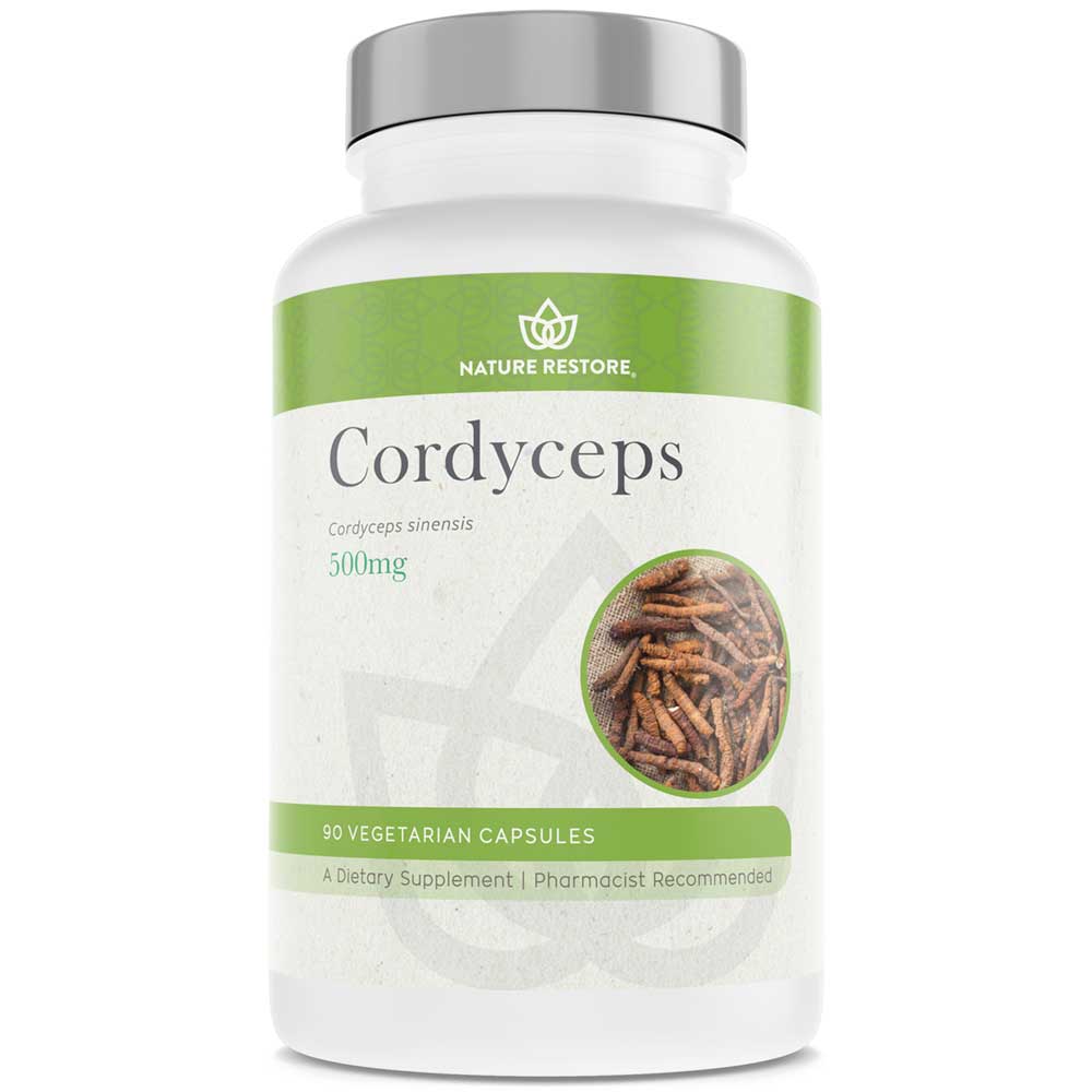 cordyceps sinensis benefits