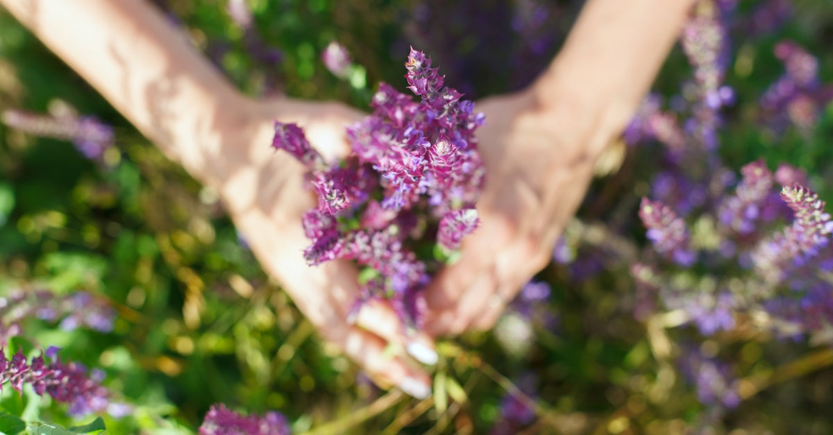 Positivity essential oils - Rosemary, Jasmine & Clary Sage