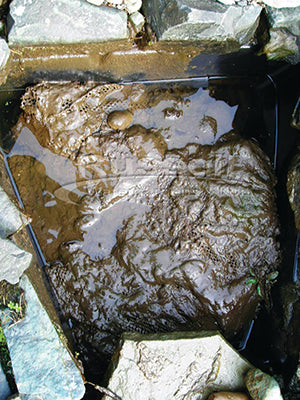 Annually cleaned waterfall filter box with sludge filled media nets and filter pads