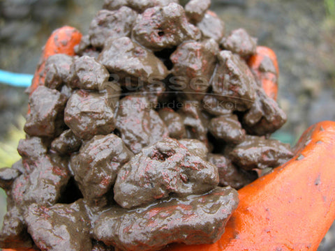 Close-up view of lava rock filled with sludge