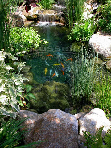 Russell Watergardens & Koi, the company is a leader of pond and water feature equipment innovation.