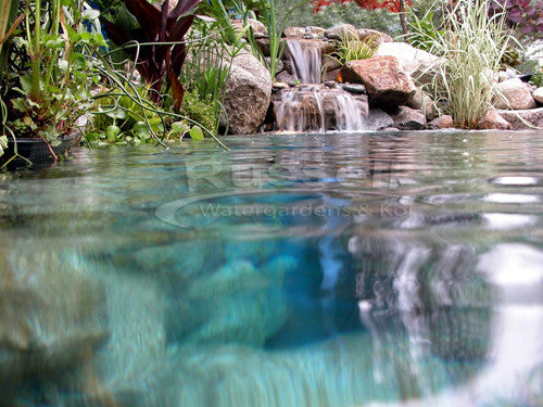 The truth about "annually" cleaned waterfall filters is they are bad for your pond or pondless waterfall