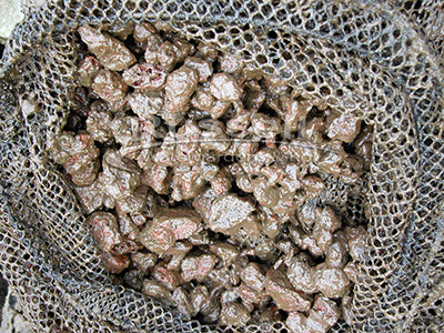 Looking inside a sludge filled lava rock media net from a biofalls filter