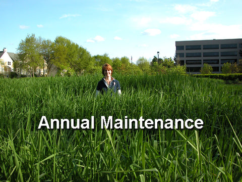 Annual lawn maintenance if bad