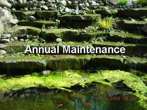 Annual pond maintenance is bad
