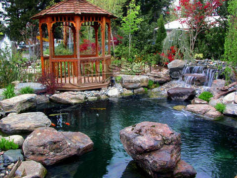 About Us: Russell Watergardens & Koi invented the Crossover Pond concept.