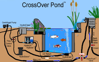 Pond Styles: Crossover pond - a Russell Watergardens & Koi invention.