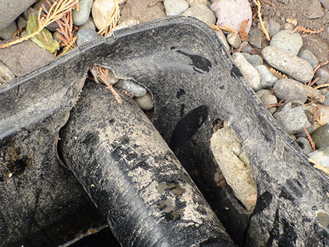 Outlet holes cut into the side of the Aquascape pond skimmer allow debris into the skimmer