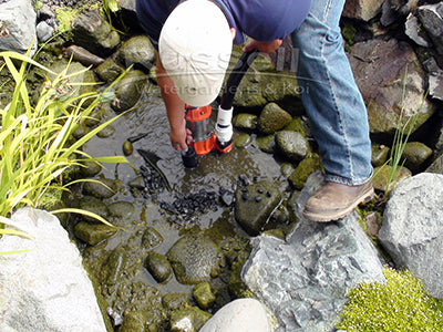 Using a pump to drain the pond during an annual cleaning