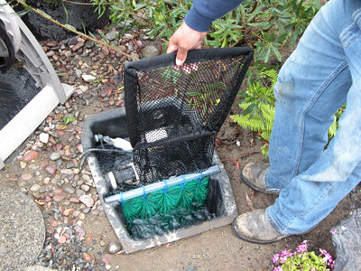 Hydro Clean pond skimmers' leaf net handle is above the water line