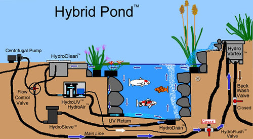 Hybrid Pond Diagram by Russell Watergardens