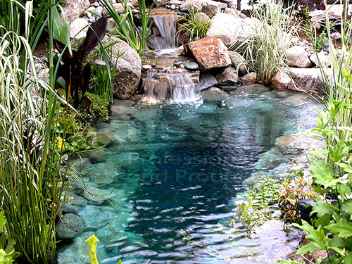 A Hybrid Pond is part water garden pond, part koi pond - a Russell Exclusive pond concept