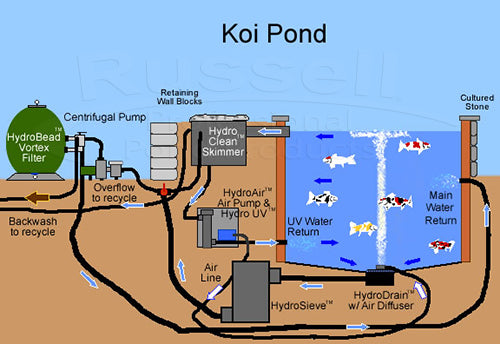 Koi pond diagram