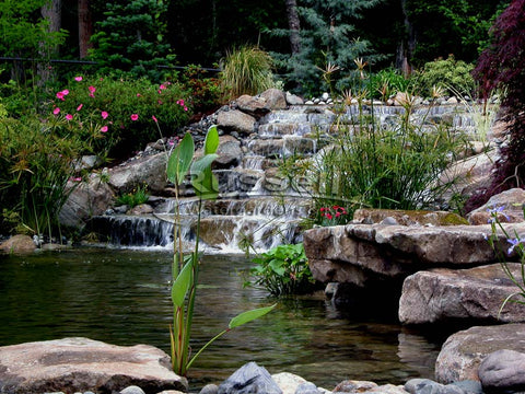 Image result for pond with waterfall