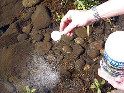 Sprinkling Hydro Vescence rock cleaner directly onto all rocks and gravel in the pond