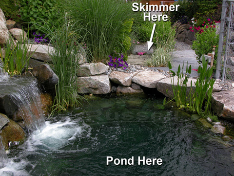 Pelican HydroClean Pond Skimmer installed away from the pond edge