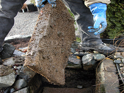 Removing a sludge filled filter pad from a mini biofalls filter