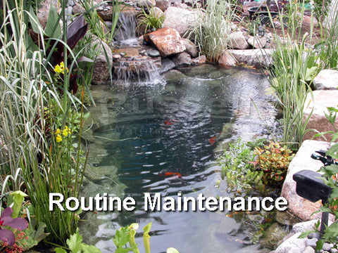Routine pond maintenance is good