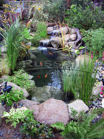 The history of Russell Watergardens & Koi includes innovation and invention.