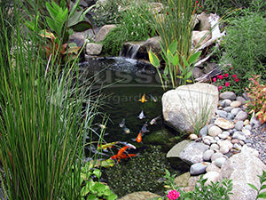 How to build a water garden pond